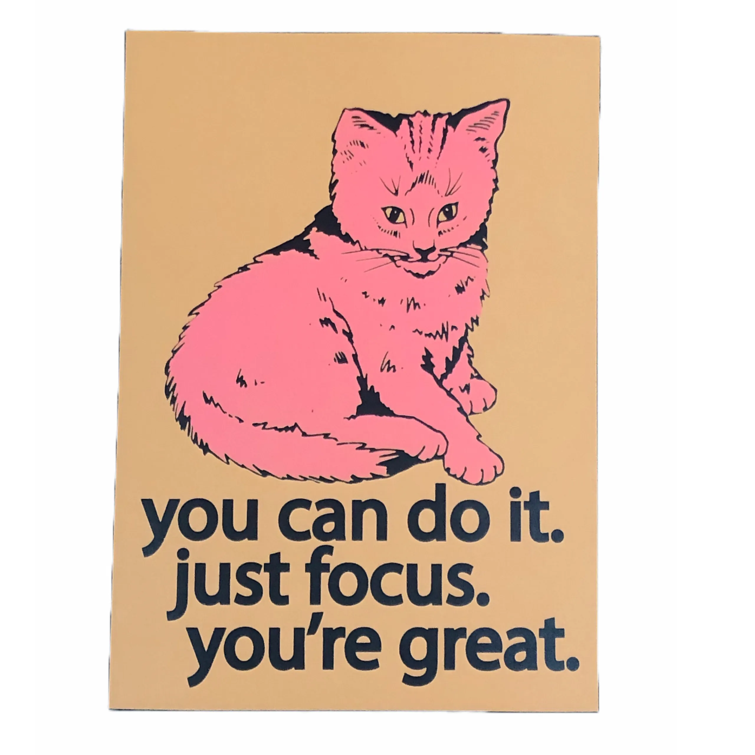 Focus Cat Print - Pink Sherbert