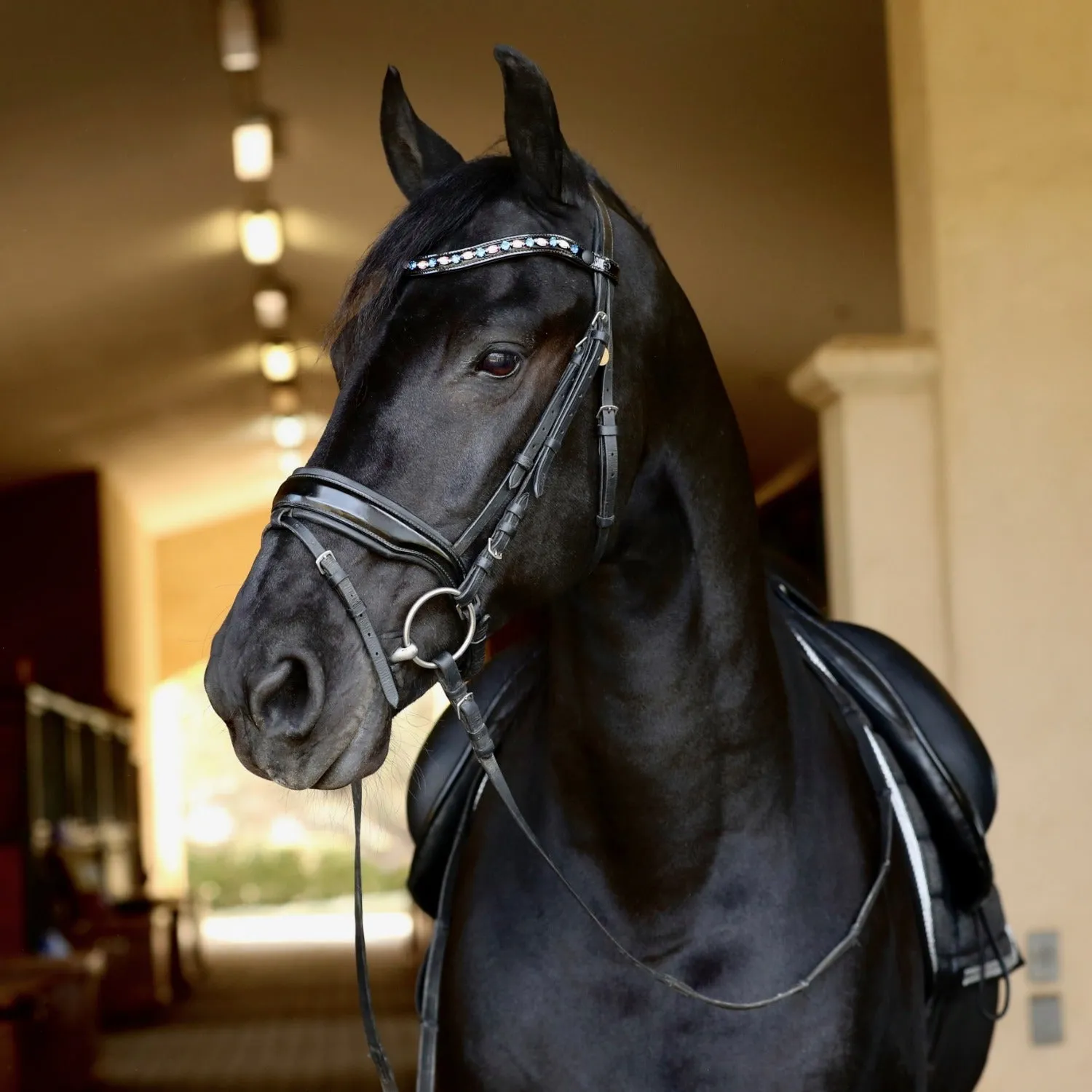 Halter Ego® 'Calisa' Patent Snaffle Bridle