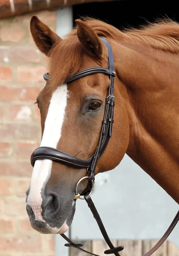 PEI Lambro Anatomic Bridle with Crank