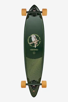 Pintail - Kookabura  - 37 Longboard