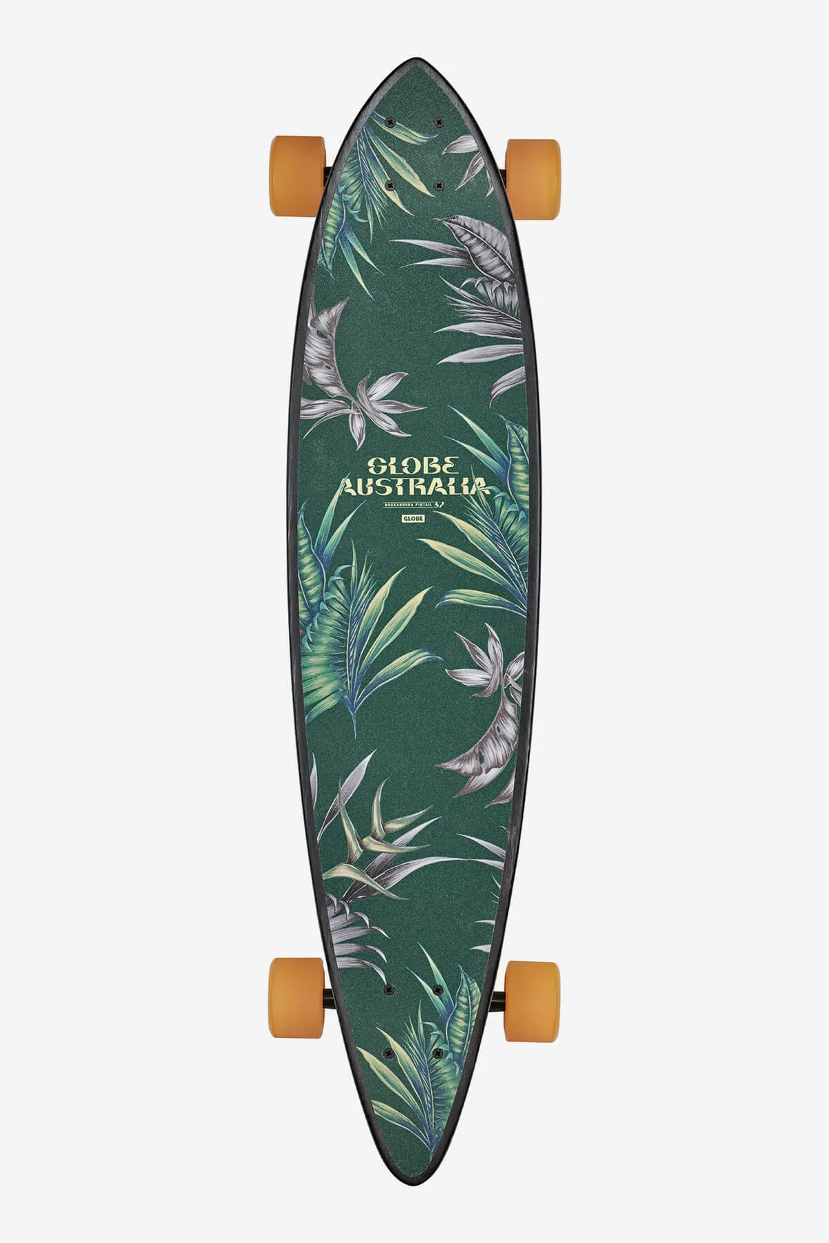 Pintail - Kookabura  - 37 Longboard